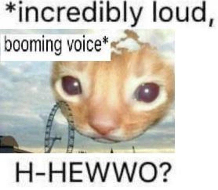Meme of giant floating cat head by a ferris wheel. Text says *incredibly loud, booming voice* H-HEWWO?
