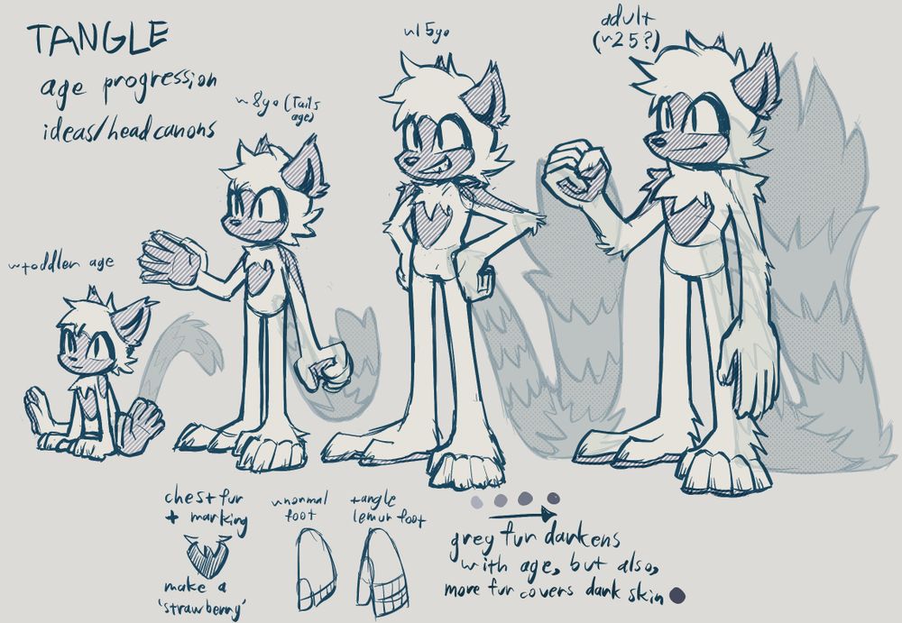 Digital sketch sheet depicting Tangle the Lemur at various ages. The youngest sketch depicts her as a toddler sitting on the floor, with her tail curling behind her only slightly thicker than her other limbs. She also has a very short snout. The next sketch depicts Tangle around age 8, with a slightly longer muzzle, notably fluffier tail, and a clear view at her belly marking, which resembles a strawberry in conjunction with her chest fur acting as the 'leaves' of the berry. The next sketch is Tangle at age 15, her canon age, with a significantly longer and fluffier tail, now thicker than her body. Unlike the previous two sketches, there is now a distinction between her upper and lower body, and her muzzle is distinctly longer. The last sketch depicts a potential adult Tangle not much taller than her 15-year-old design, with thicker limbs and body, a longer muzzle, and a significantly longer and thicker tail, being twice as long as Tangle herself is tall.