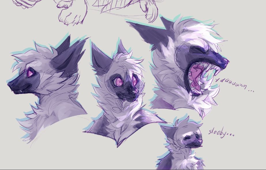 Digital sketches of Tangle the Lemur with a more realistic lemur’s face in various poses.