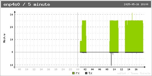 Network usage graph showing a sustained 25 megabit download