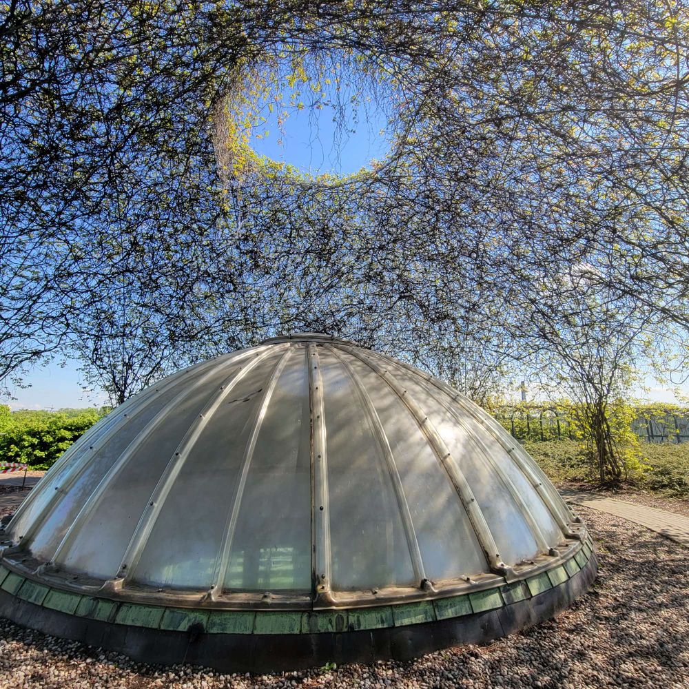A dome-shaped window sits on the ground of the Warsaw University library's roof garden. It is actually a skylight for the rooms below. Above the dome a round trellis allows vines go grow.