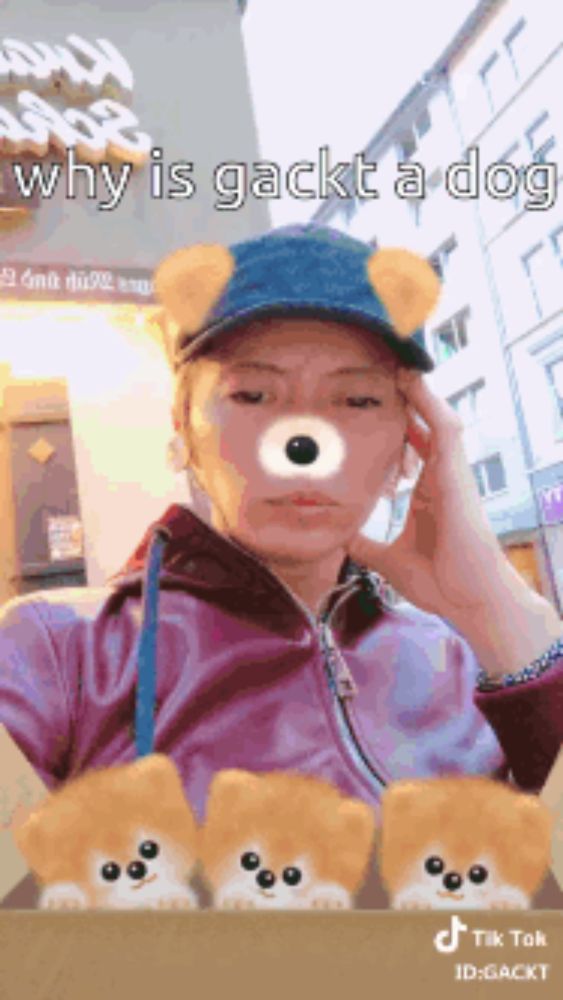 a woman wearing a blue hat with a teddy bear face and the words why is gackt a dog