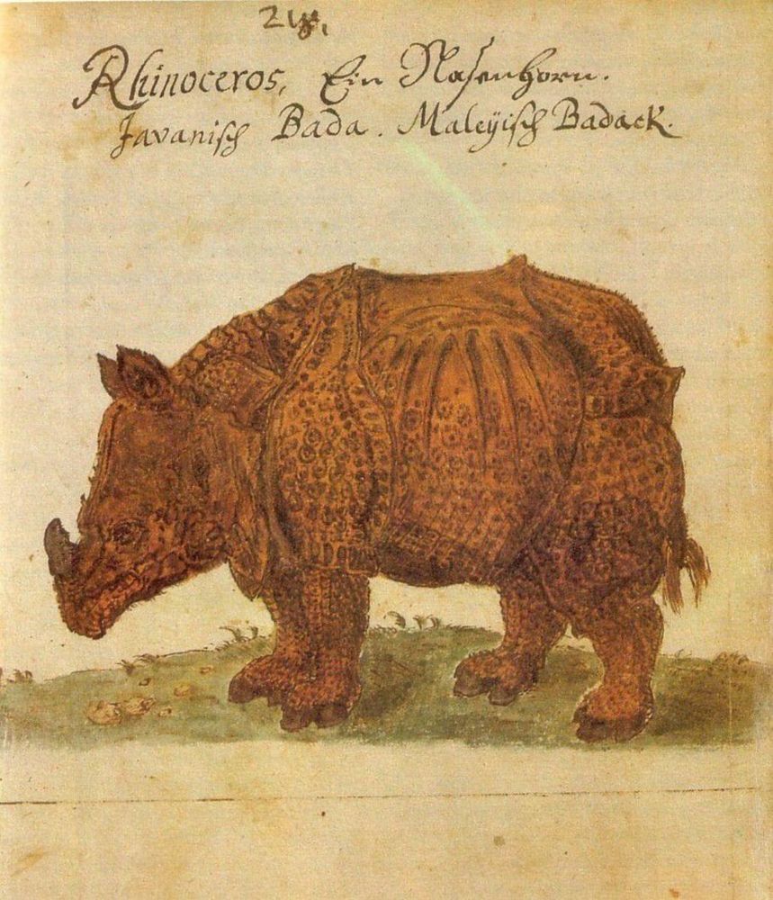 This Is How Medieval Artists Imagined Animals They Had Never Seen