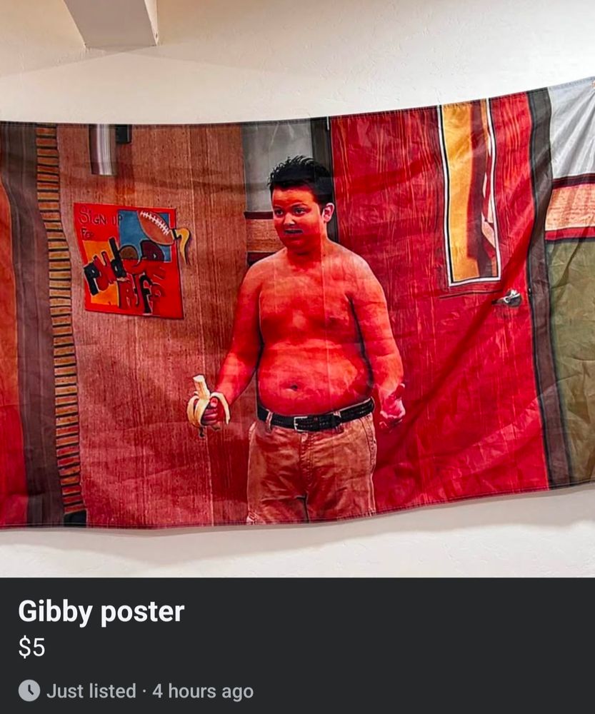 A Facebook marketplace listing for a fabric poster of shirtless Gibby from iCarly priced at $5