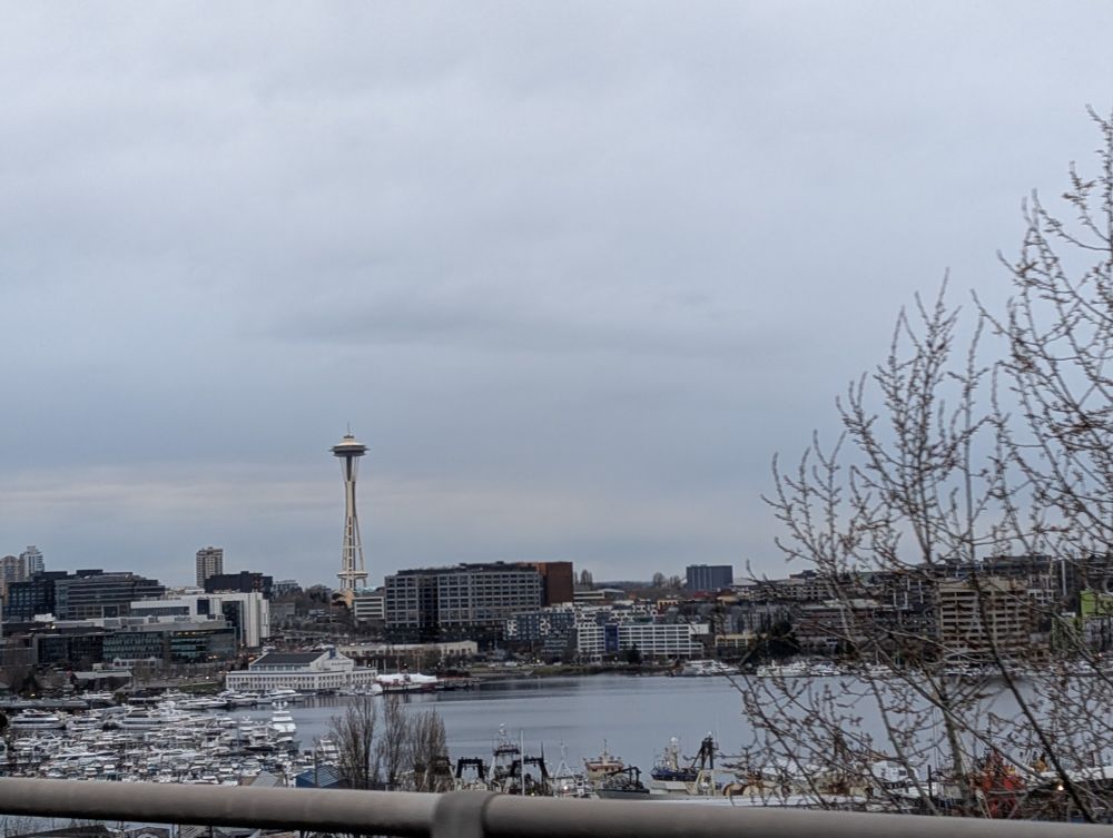Seattle's overcast skyline from my friend's car as she drove us to visit other friends.