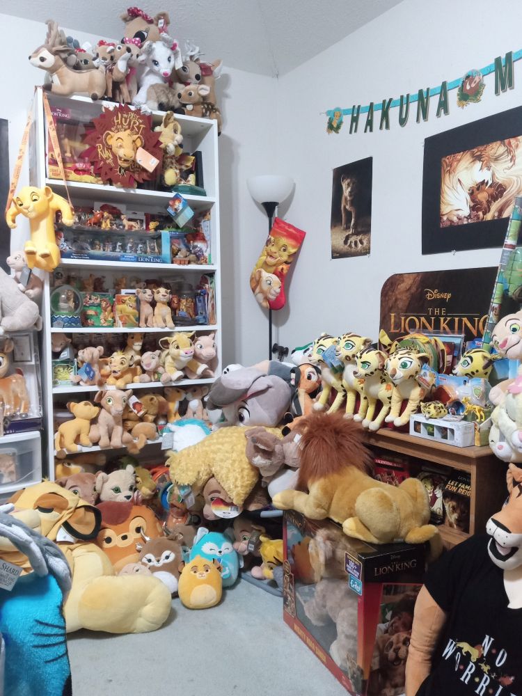 Shelves filled with Lion merch, and plenty of larger lion king plushies on the floor. (Amongest a few other plushies from various franchises.)