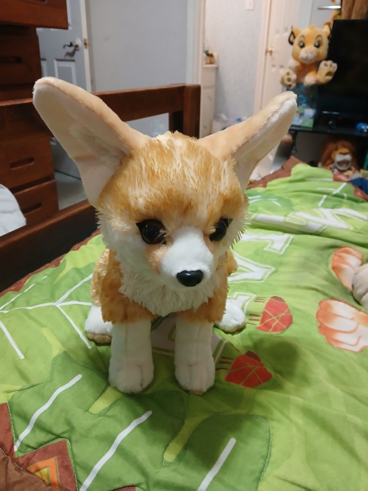 This is a photo of a Wild Republic brand Fennec Fox plush
