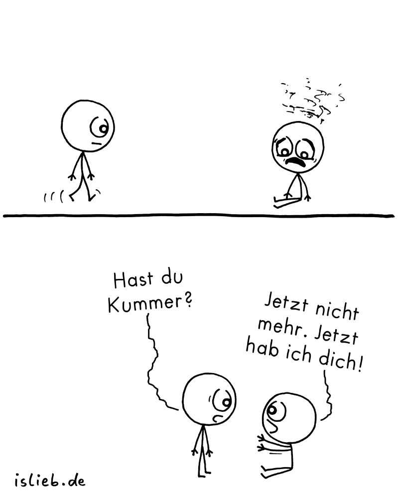 Der Comic besteht aus zwei Szenen mit zwei Strichfiguren.

Obere Bildhälfte:
Links nähert sich eine Figur mit neutralem Gesichtsausdruck einer anderen Figur, die rechts am Boden sitzt und traurig aussieht. Über der sitzenden Figur sind wellige, dunkle Linien gezeichnet, die Kummer andeuten.

Untere Bildhälfte:
Die stehende Figur fragt:
„Hast du Kummer?“
Die sitzende Figur lächelt jetzt und antwortet:
„Jetzt nicht mehr. Jetzt hab ich dich!“