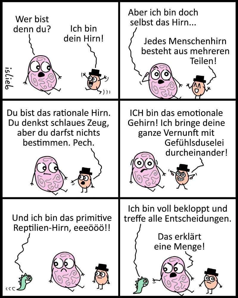 Comic.

Panel 1:
Ein rosafarbenes Gehirn sitzt in der Gegend rum. Eine kleine, eierförmige Figur mit Hut kommt angelaufen.
Das rosa Gehirn fragt überrascht:
– „Wer bist denn du?“
Die kleine Figur mit Zylinder antwortet:
– „Ich bin dein Hirn!“

Panel 2:
Das rosa Gehirn ist verwirrt:
– „Aber ich bin doch selbst das Hirn…“
Die Figur erklärt:
– „Jedes Menschenhirn besteht aus mehreren Teilen!“

Panel 3:
Die Figur mit Zylinder zeigt auf das rosa Gehirn:
– „Du bist das rationale Hirn. Du denkst schlaues Zeug, aber du darfst nichts bestimmen. Pech.“

Panel 4:
Die Figur fährt fort, energisch:
– „ICH bin das emotionale Gehirn! Ich bringe deine ganze Vernunft mit Gefühlsduselei durcheinander!“

Panel 5:
Eine neue Figur erscheint – ein kleines grünes Reptil:
– „Und ich bin das primitive Reptilien-Hirn, eeeööö!!“

Panel 6:
Das Reptilien-Hirn sagt:
– „Ich bin voll bekloppt und treffe alle Entscheidungen.“
Das rosa Gehirn antwortet resigniert:
– „Das erklärt eine Menge!“
