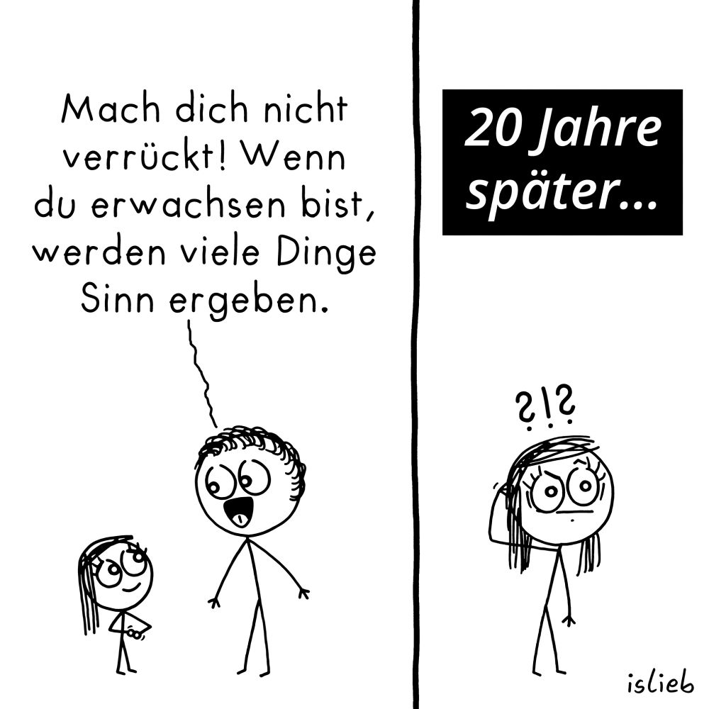 Der Comic besteht aus zwei nebeneinanderstehenden Panels.

Linkes Panel:
Ein Erwachsener mit lockigem Haar spricht zu einem Kind mit langen Haaren, das ein Notizbuch in der Hand hält. Er sagt:
„Mach dich nicht verrückt! Wenn du erwachsen bist, werden viele Dinge Sinn ergeben.“

Rechtes Panel:
Oben steht auf schwarzem Hintergrund in weißer Schrift:
„20 Jahre später…“
Darunter ist dieselbe Person wie im linken Panel – nun erwachsen – zu sehen. Sie schaut verwirrt und über ihrem Kopf stehen die Zeichen:
„?!?“