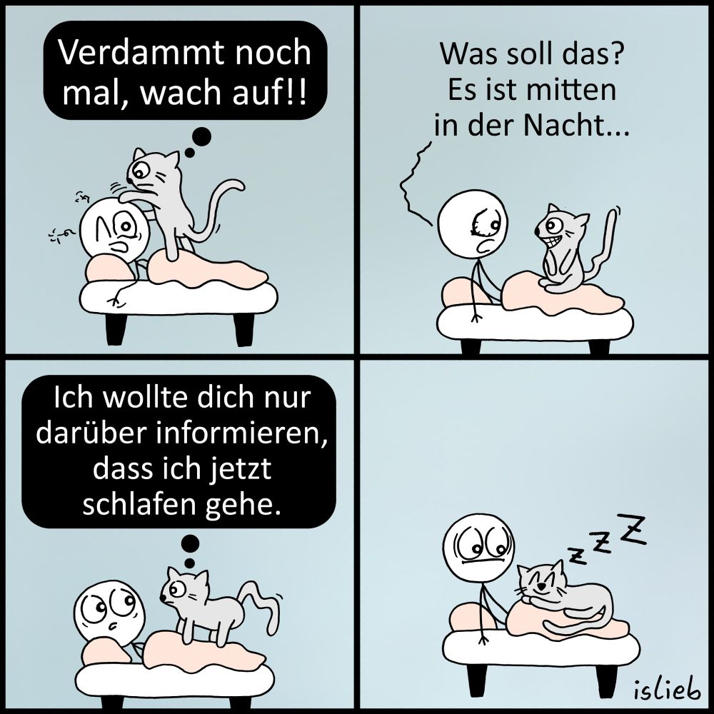 Comic. Eine Figur liegt im Bett und schläft. Eine Katze steigt aufs Bett, klopft der Figur auf dem Kopf rum und denkt: "Verdammt noch mal, wach auf!" Die Figur wacht auf und fragt: "Was soll das? Es ist mitten in der Nacht." Die Katze denkt: "Ich wollte dich nur darüber informieren, dass ich jetzt schlafen gehe." Die Katze legt sich zufrieden auf die Bettdecke und pennt ein. Die Figur ist hellwach und wenig begeistert.