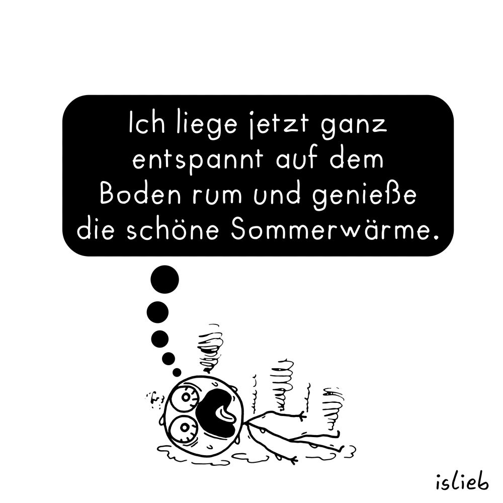Der Comic zeigt eine Strichfigur, die auf dem Rücken auf dem Boden liegt. Um die Figur herum sind gezeichnete Linien, die Wärme darstellen. Die Figur hat den Mund offen, schwitzt und verdampft fast.
In einer großen schwarzen Gedankenblase steht:
„Ich liege jetzt ganz entspannt auf dem Boden rum und genieße die schöne Sommerwärme.“

Unten rechts steht der Name „islieb“.