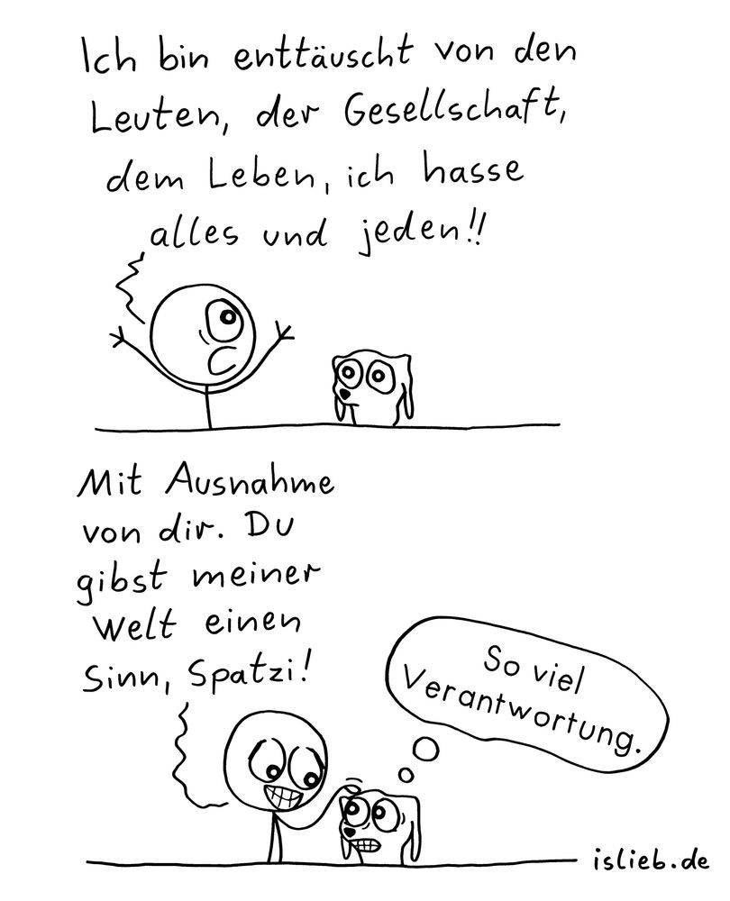 Der Comic besteht aus zwei Panels und zeigt eine Strichfigur sowie einen kleinen, niedlichen Hund.

Erstes Panel (oben):
Die Strichfigur ruft aufgebracht:
„Ich bin enttäuscht von den Leuten, der Gesellschaft, dem Leben, ich hasse alles und jeden!!“
Der Hund sitzt daneben und schaut verwundert.

Zweites Panel (unten):
Die Strichfigur lächelt nun und streichelt den Hund liebevoll mit den Worten:
„Mit Ausnahme von dir. Du gibst meiner Welt einen Sinn, Spatzi!“
Der Hund denkt:
„So viel Verantwortung.“