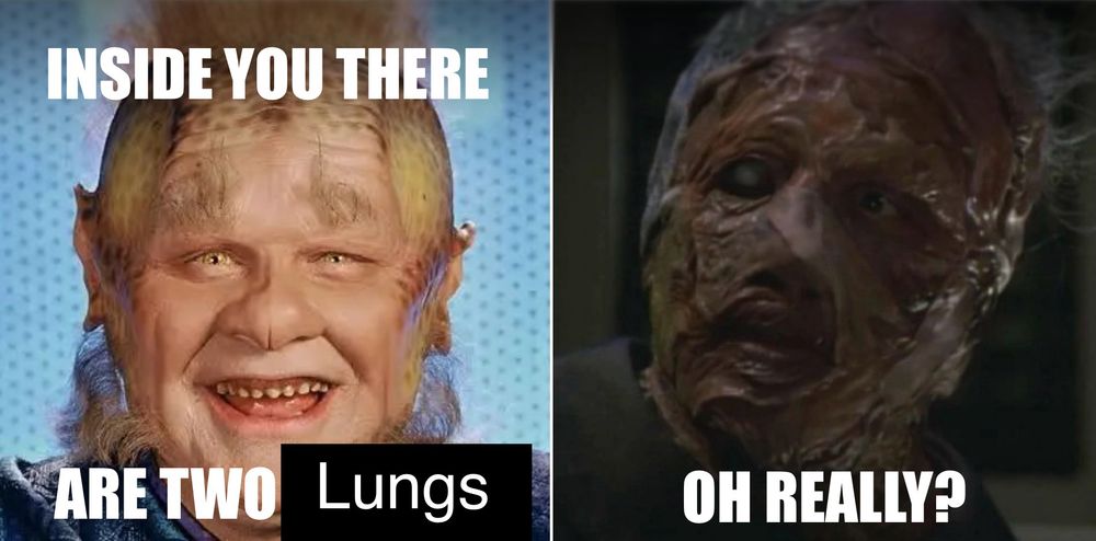 Two panel image from “Star Trek: Voyager”. Left panel: an image of Neelix with meme text “inside you there are two” the next word is blocked over and replaced with word “lungs.” Right panel: an image of a Vidiian with the meme text “oh really?”