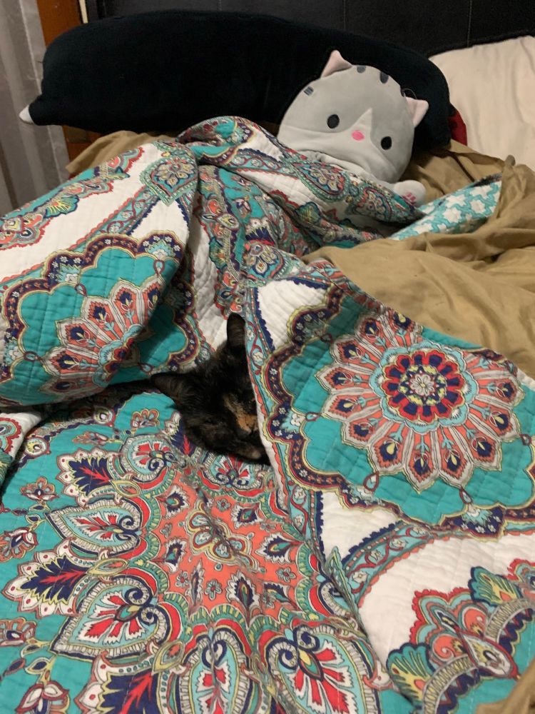 A tortoiseshell cat is lying in crumpled bed sheets half asleep, eyes barely open. She’s tucked in far enough that only her head is visible. 