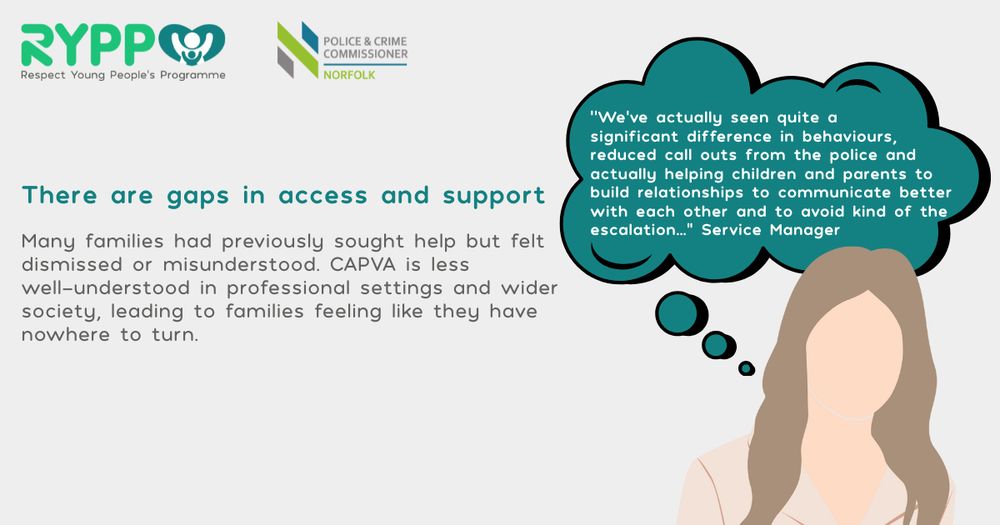 Illustration of woman beside text about there being gaps and access to support for CAPVA