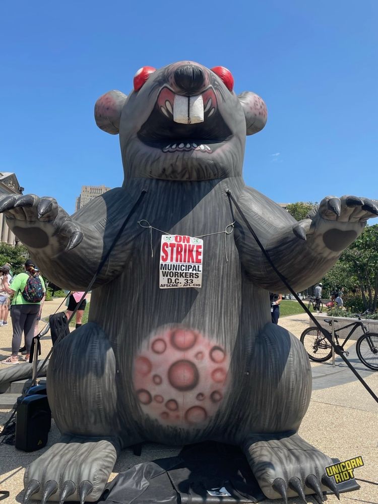 Large inflatable rat with red eyes and buck teeth stands on its hind legs with its arms stretched out. Scabby has some scabs on his tummy and is wearing a sign that says in red letters on white background "ON STRIKE - Municipal Workers D.C. 33 ASFCME AFL-CIO"

