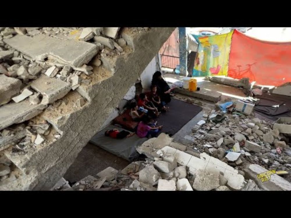 Three Stories of Displacement From Israel's War on Gaza