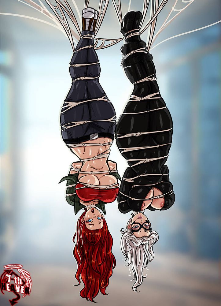 2D art: Mary-Jane Watson and Felicia Hardy hang upside down, thoroughly bound with loops of webbing, their ample breasts falling out of their clothes and practically hitting them in the face