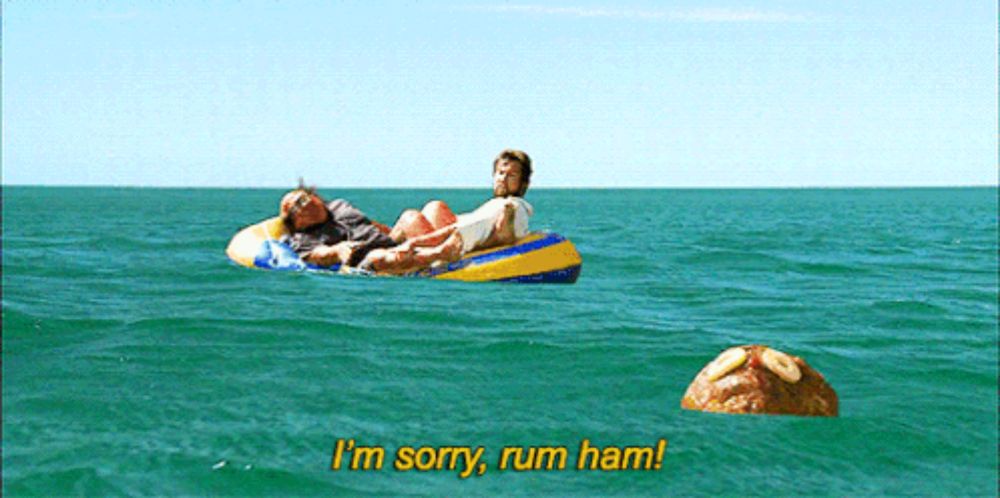 a man floating on a raft in the ocean says " i 'm sorry rum ham "