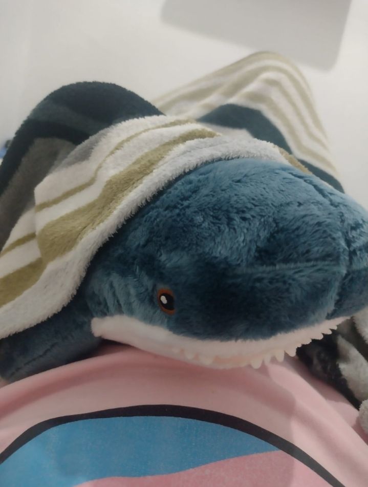 Kai, um tubarão azul de pelúcia, visto de meio-perfil, está em cima de mim e coberto por um cobertor listrado em branco, cinza, marrom e azul escuro