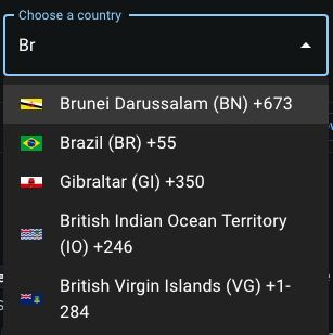 A autocomplete select UI component showcasing a search by country