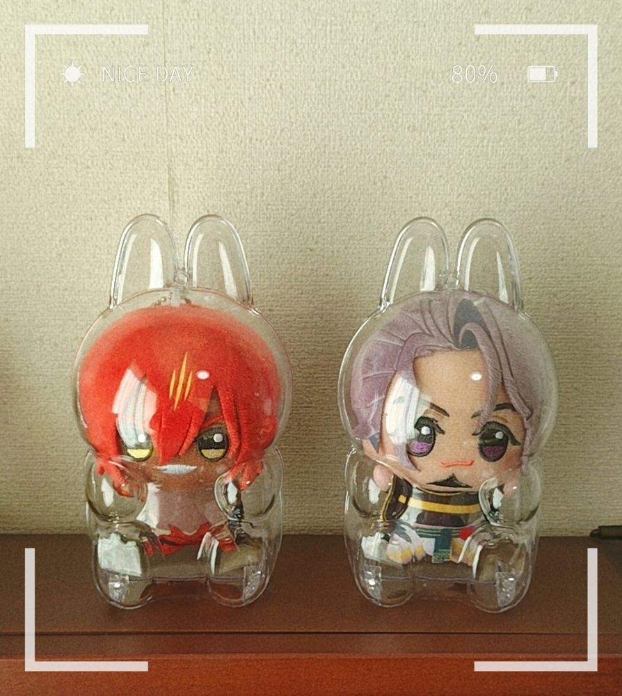 クリアケースに入ったぬいぐるみの写真。
左側にちびぐるみのアシュぬい、右側にヨダナぬいが置いてある。
