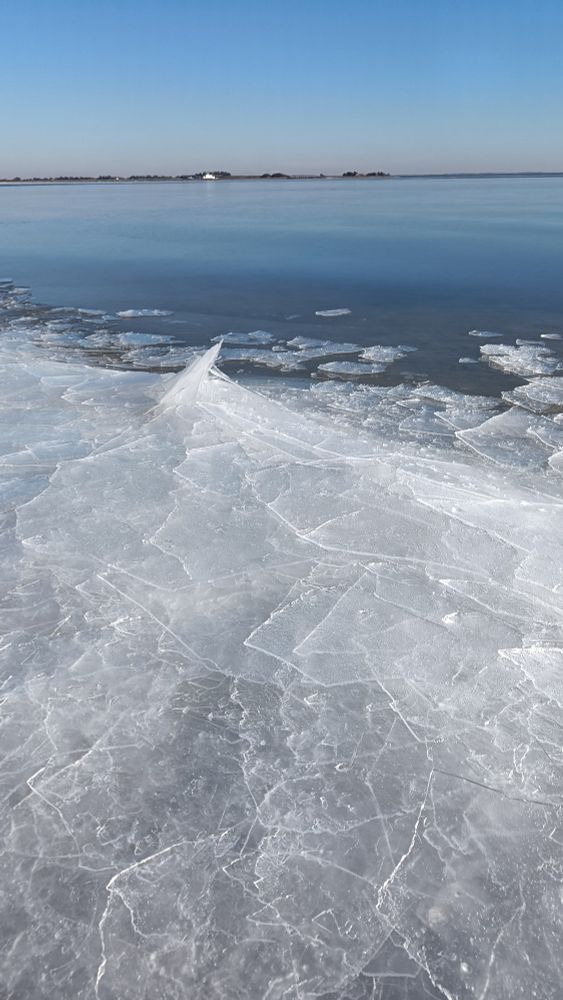 One of my favourite winter scenes: strong sunshine, frozen fjord ice, thick sheets of thin ice wafers tousled haphazardly into each other on the beach. As intricately textured and delicate as lace, these thin wafers pile on top of each other and then slide all around with the most delectable cronch. Here we see an ice smooth blanket of fjord across the top of the image, and a small mountain of textured ice wafers across the bottom half of the image. Where ice meets ice, several wafers can be seen sunning themselves like sea lions or perhaps volunteering themselves as delicate hockey pucks. Winter at its finest, bonus points for the sighing ice as it was gently rocked by hints of waves. 14/10 would linger again