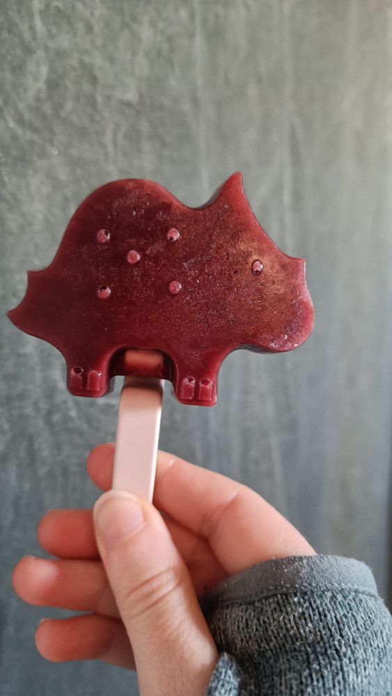 A homemade popsicle, gently textured and ruby red with pomegranate juice, shaped like a triceratops. E is facing to the right, a thoughtful expression on eir face, as e is held my right hand. We are in a dark corner of the house, with sunlight gently illuminating the dino's features. 