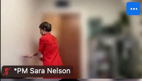Zoom screenshot of Sara Nelson fleeing the room