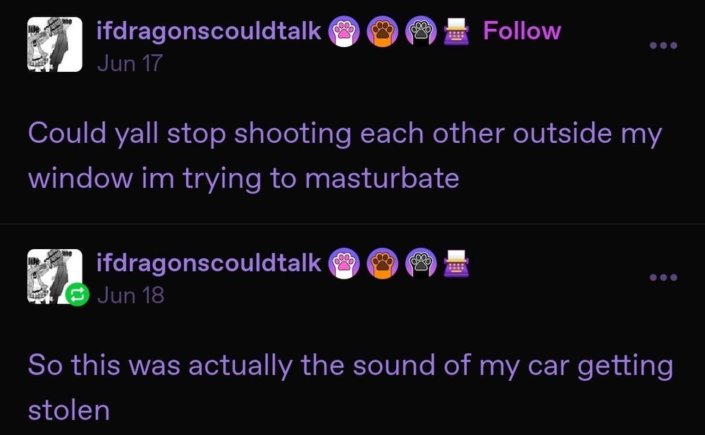 A Tumblr post reading, "Could yall stop shooting each other outside my window im trying to masturbate" followed up by the reblog, "So this was actually the sound of my car getting stolen".