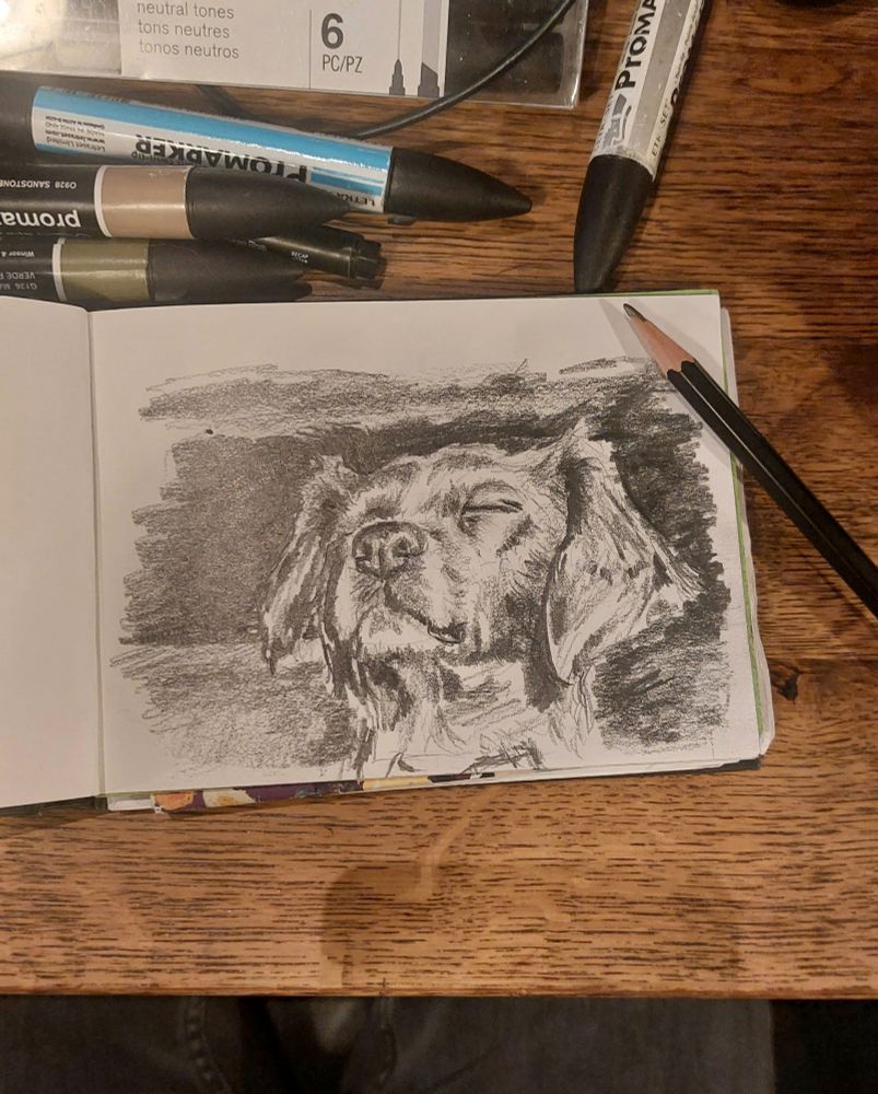 Drawing of my dog.