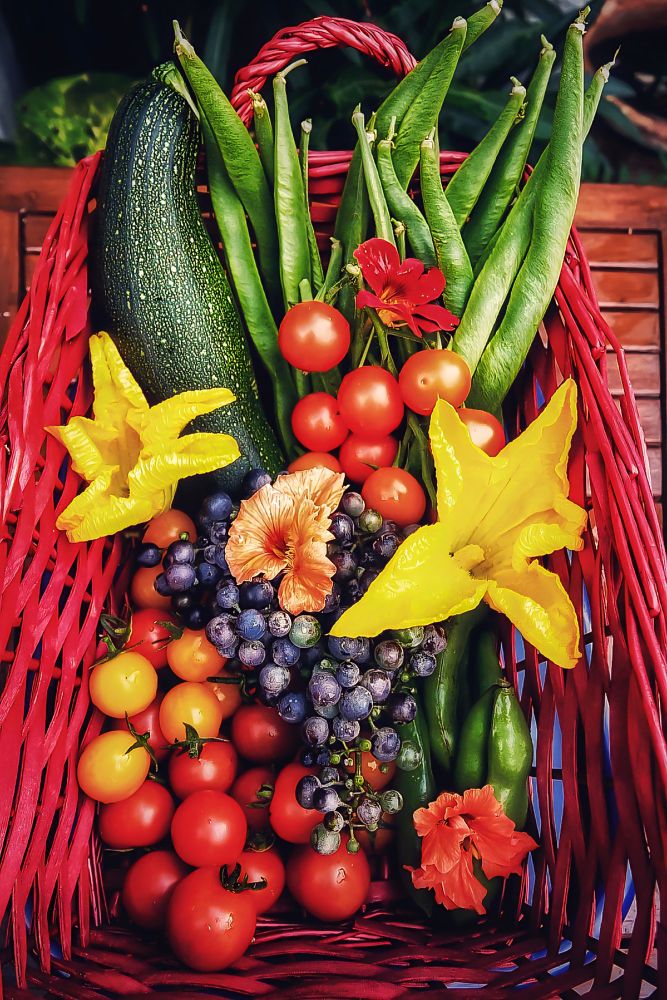 A basket of home grown vegetables and fruit. The contents being, courgettes, runnerbeans, tomatoes, grapes, pumpkin flowers and nasturtium flowers. 
