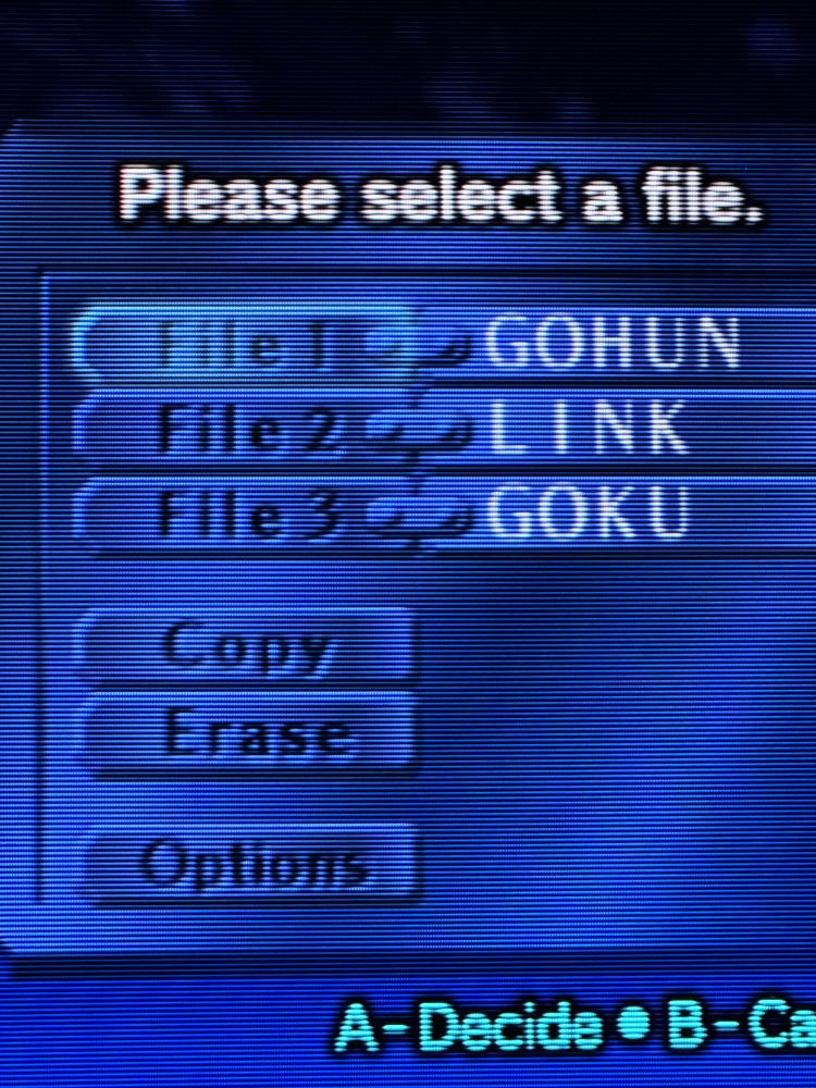 Zelda OOT file menu. It is blue and has the names Gohun link and Goku on it. 