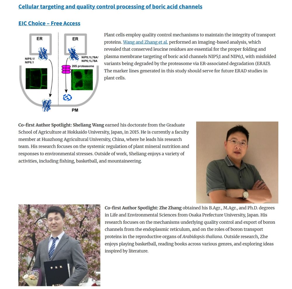 Image showing a schematic diagram of the quality control regulation of boric acid channels, accompanied by a short summary of the paper by Wang et al. Also shown are photos of the 2 co-first authors (Sheliang Wang and Zhe Zhang) and their biographies.