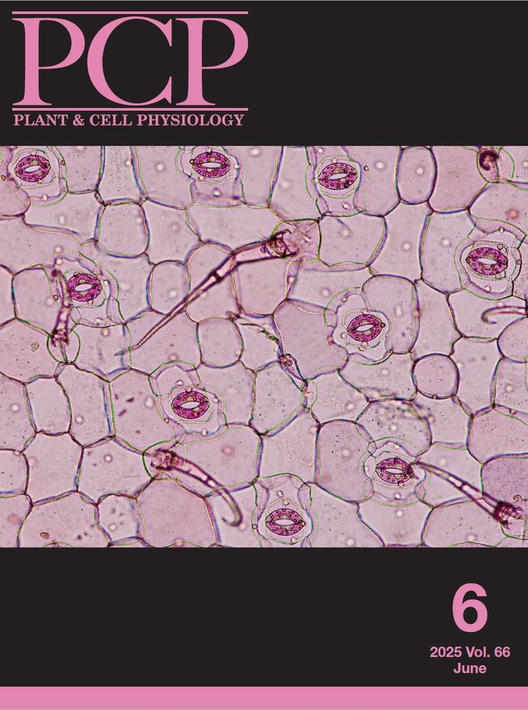 June 66-6 Issue cover showing plant epidermis with stomata
