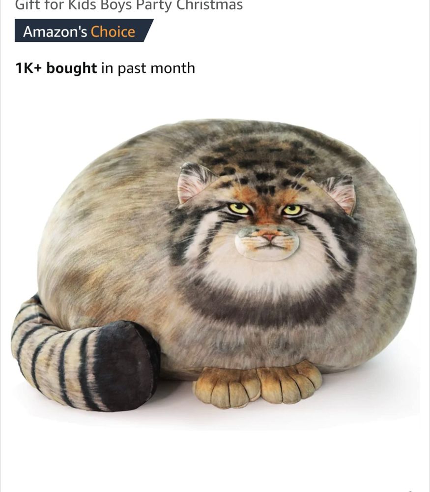 Comment image