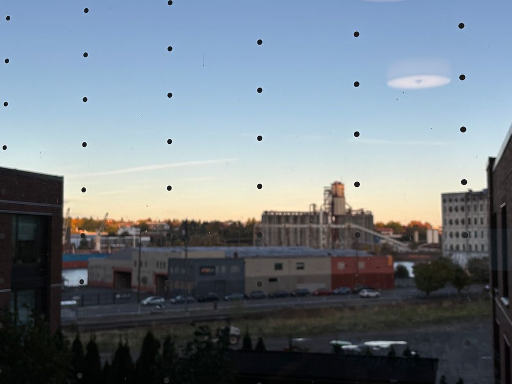 View of an urban skyline at sundown through a picture window with safety dots to keep birds from flying into it