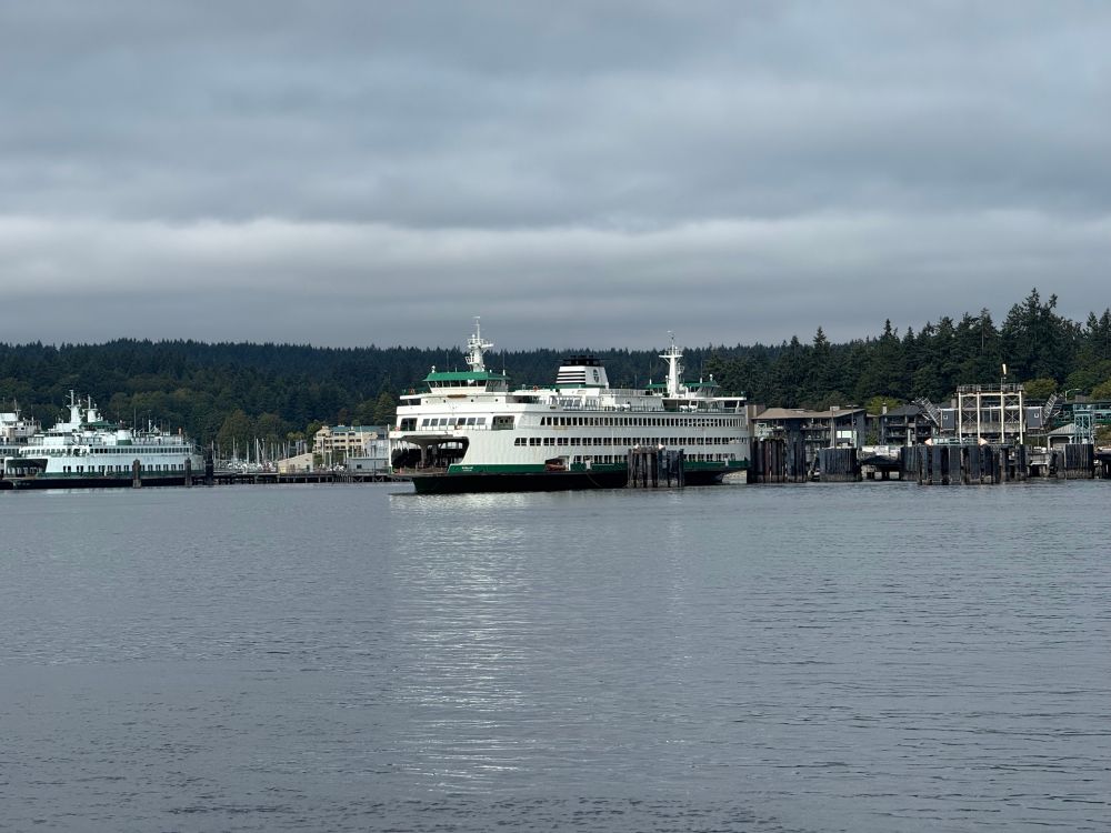 Ferries docked in Bainbridge 