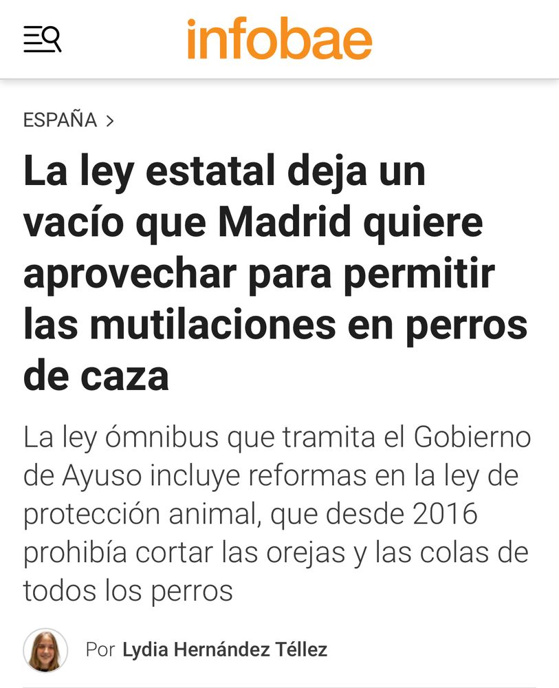 Noticia de infobae:
La ley estatal deja un vacío que Madrid quiere aprovechar para permitir las mutilaciones en perros de caza. 
La ley ómnibus que tramita el Gobierno de Ayuso incluye reformas en la ley de protección animal, que desde 2016 prohibía cortar las orejas y las colas de todos los perros.
Por Lydia Hernández Téllez