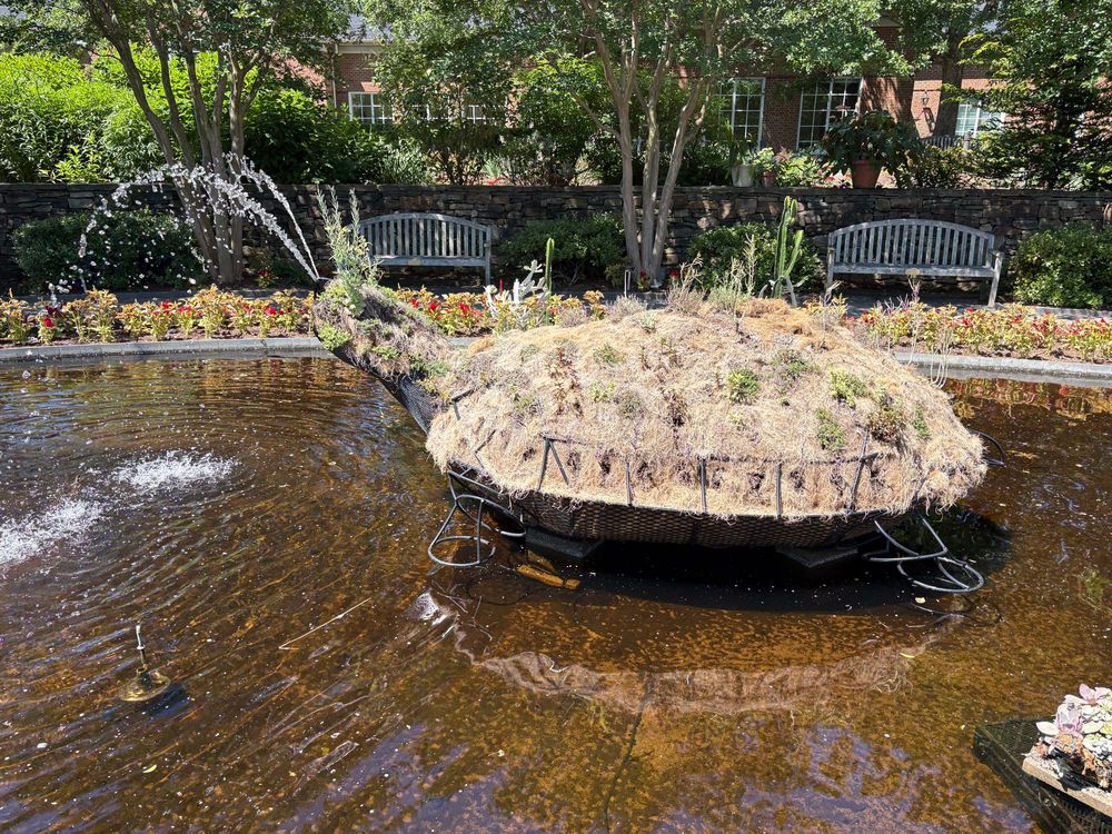 Video of a small pond with a large metal fountain sculpture of a turtle with various plants inside. Water is spouting out of its mouth