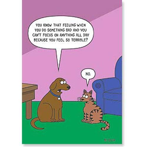Dog: You know that feeling when you do something bad and you can't focus on anything all day because you feel so terrible? Cat: No. :)