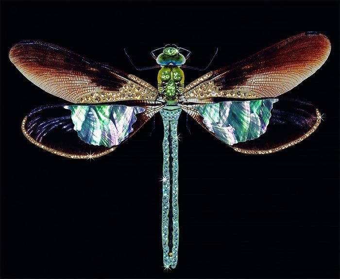 Dragonfly made of mixed media such as silk and crystals by Italian artist Michele Astolfi.