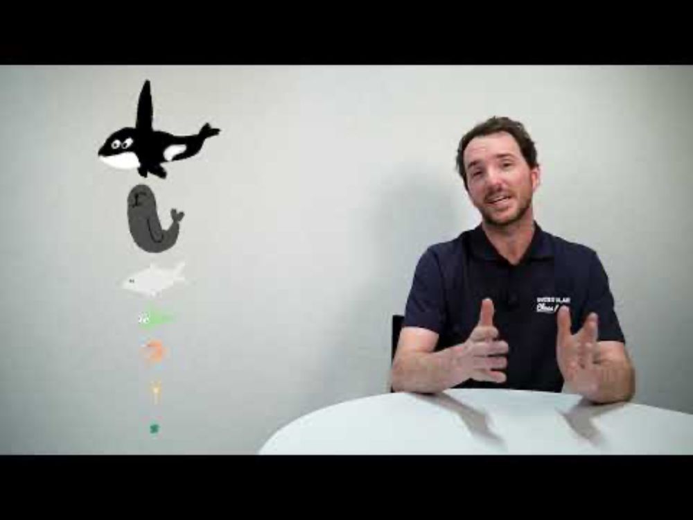 Le plus grand espace de vie | Cap au Sud