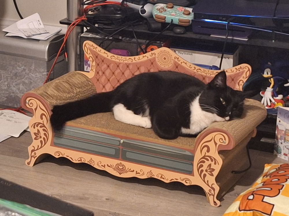 A tuxedo cat sleepily lounging out on a cardboard luxury sofa