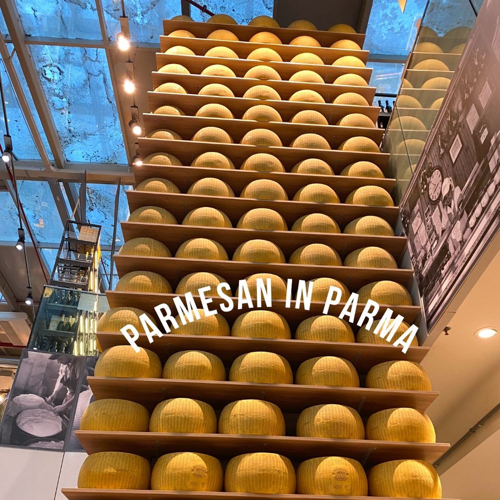 Wall of wheels of Parmesan