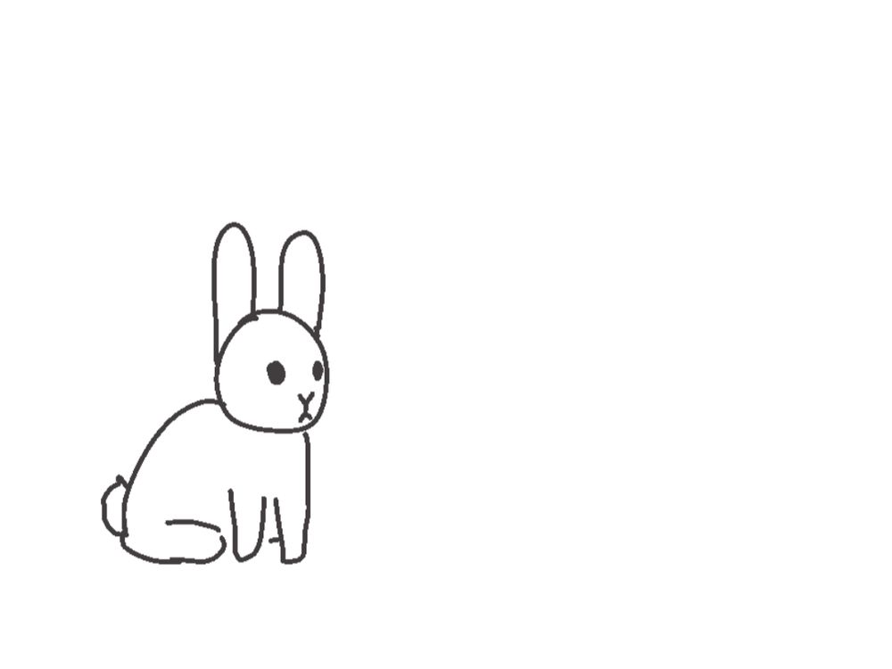 a rabbit.
