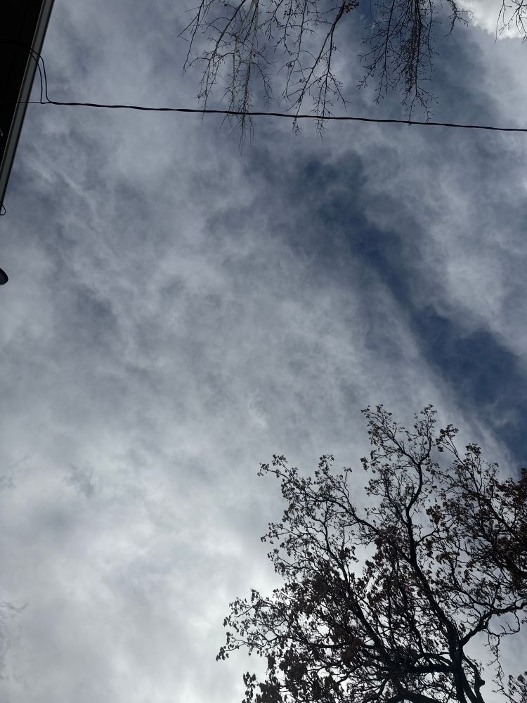 Upward photo of the sky with a tree and a roof in view but most cloud cover