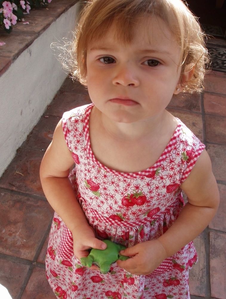 picture of toddler amélie holding a small beanbag turtle and a pink dress with strawberries on it. i have brown eyes, light ginger/strawberry blonde hair, & a grumpy expression 😕