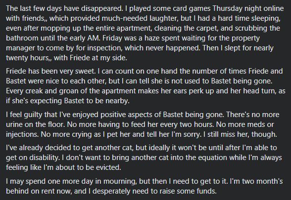 The last few days have disappeared. I played some card games Thursday night online with friends,, which provided much-needed laughter, but I had a hard time sleeping, even after mopping up the entire apartment, cleaning the carpet, and scrubbing the bathroom until the early AM. Friday was a haze spent waiting for the property manager to come by for inspection, which never happened. Then I slept for nearly twenty hours,, with Friede at my side.
Friede has been very sweet. I can count on one hand the number of times Friede and Bastet were nice to each other, but I can tell she is not used to Bastet being gone. Every creak and groan of the apartment makes her ears perk up and her head turn, as if she's expecting Bastet to be nearby.
I feel guilty that I've enjoyed positive aspects of Bastet being gone. There's no more urine on the floor. No more having to feed her every two hours. No more meds or injections. No more crying as I pet her and tell her I'm sorry. I still miss her, though. 
I've already decided to get another cat, but ideally it won't be until after I'm able to get on disability. I don't want to bring another cat into the equation while I'm always feeling like I'm about to be evicted.
I may spend one more day in mourning, but then I need to get to it. I'm two month's behind on rent now, and I desperately need to raise some funds.